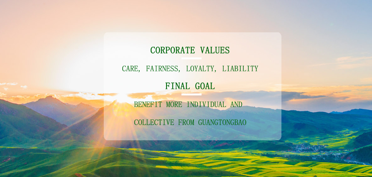 金隆銅業(yè)有限公司調(diào)查報(bào)告